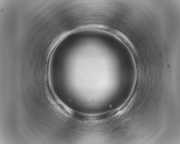 X0000059240860200510171429