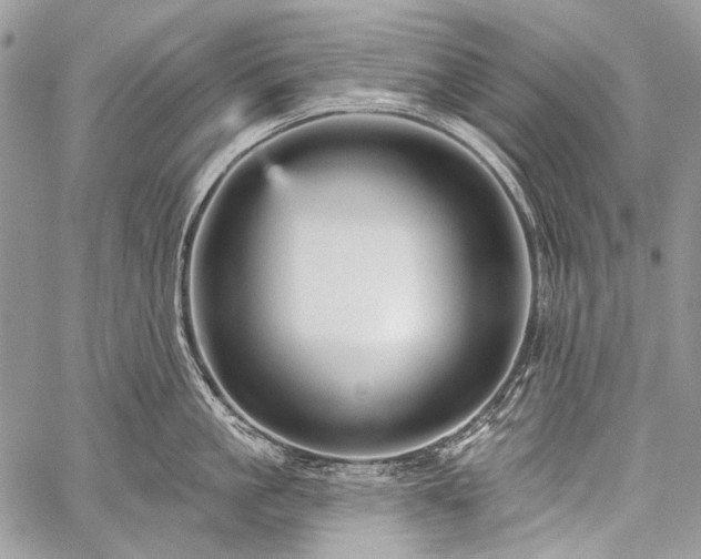 X0000059240861200510171429