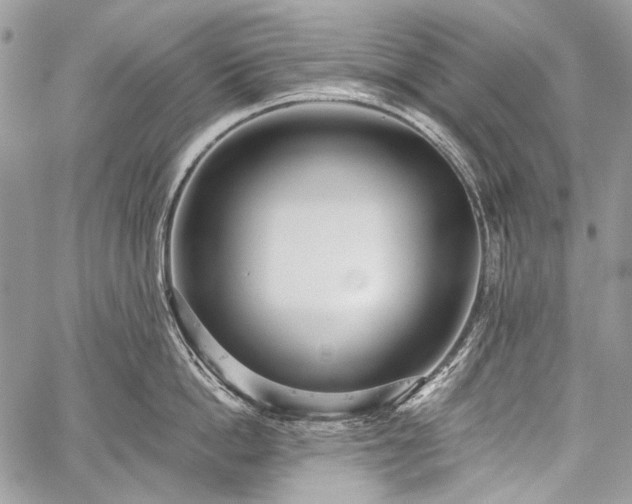 X0000059240862200510171429