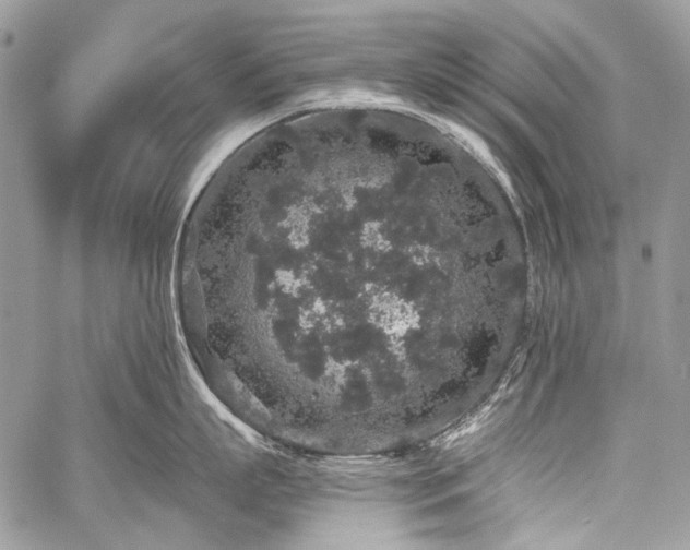 X0000059240863200510171429