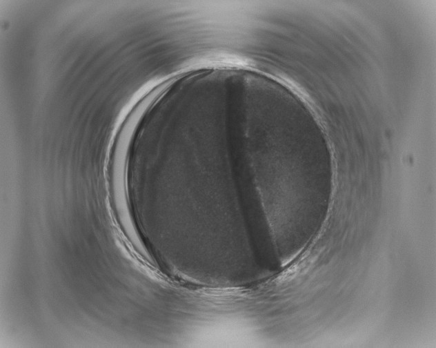 X0000059240864200510171429