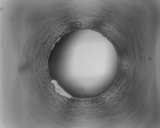 X0000059240865200510171429