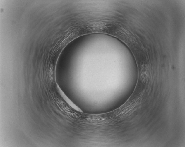 X0000059240866200510171429