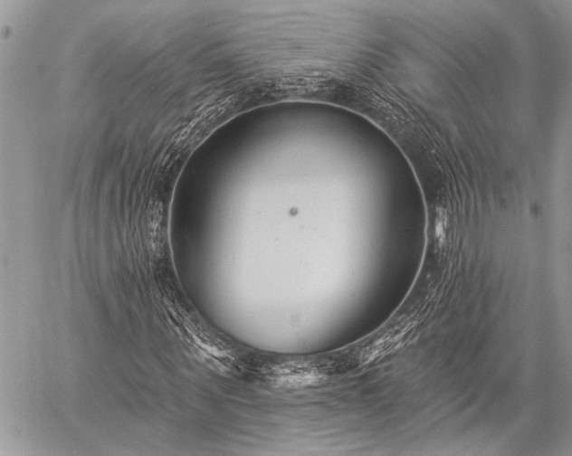 X0000059240867200510171429