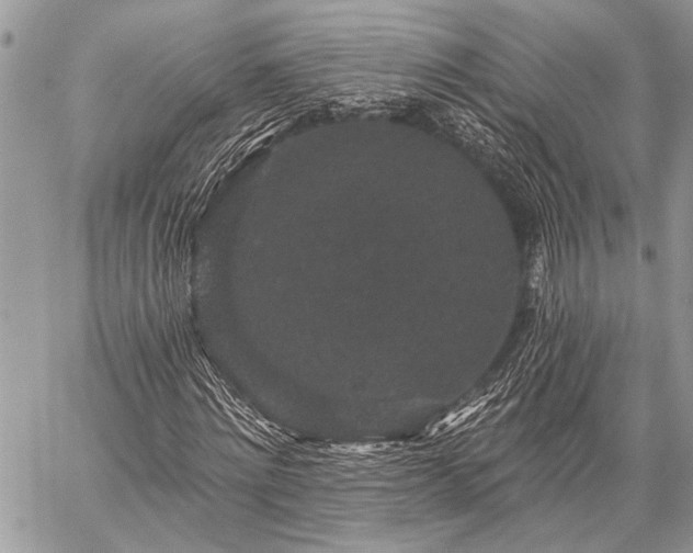 X0000059240868200510171428