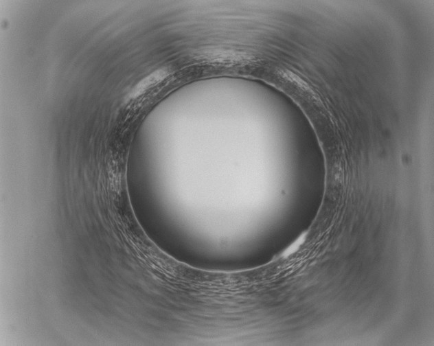 X0000059240869200510171428