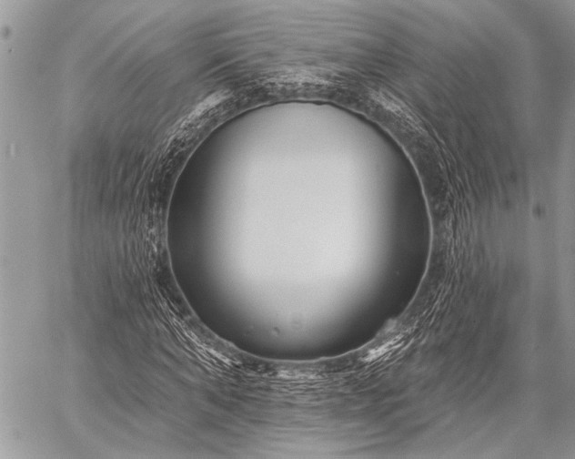 X0000059240870200510171428