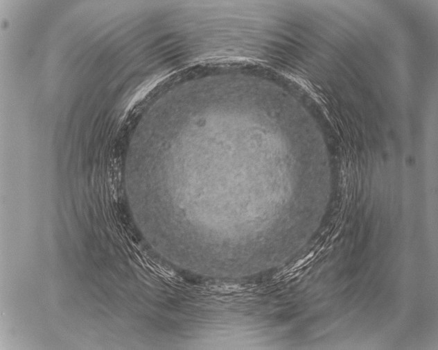 X0000059240871200510171428