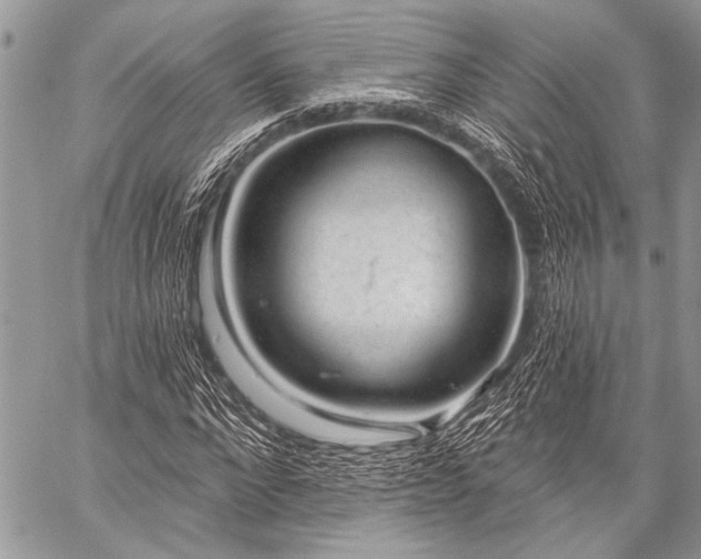 X0000059240872200510171428