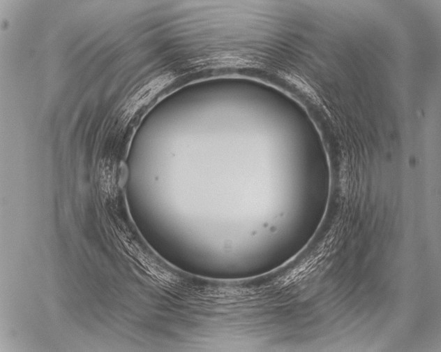 X0000059240873200510171428