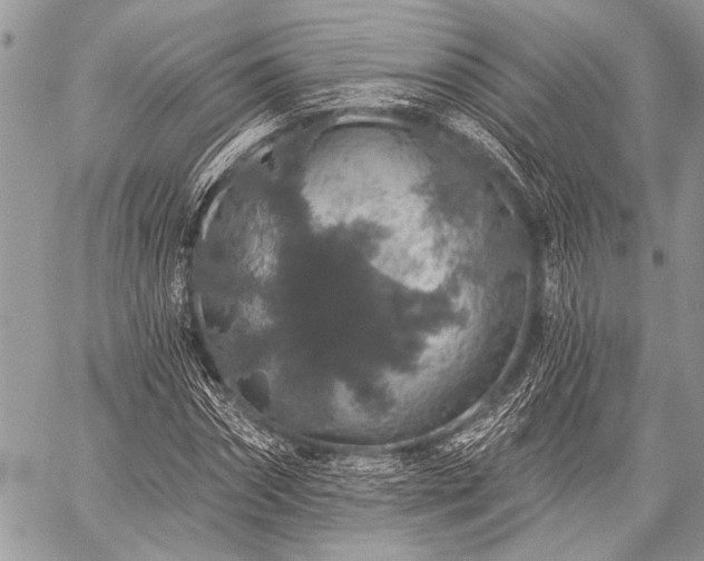 X0000059240874200510171428