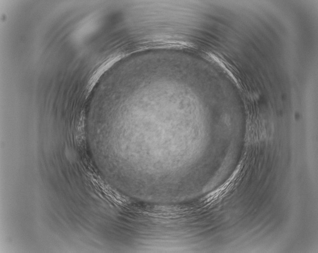 X0000059240875200510171428