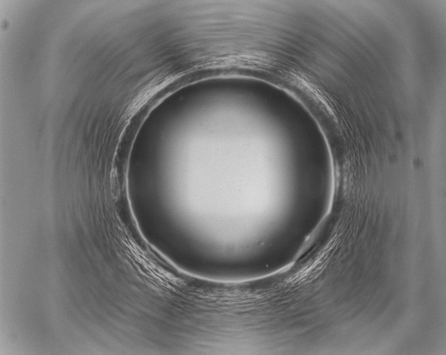 X0000059240876200510171428