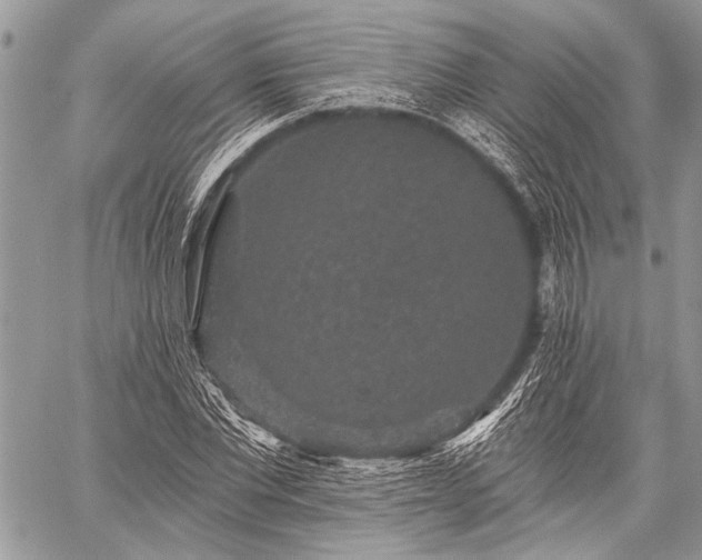 X0000059240877200510171428