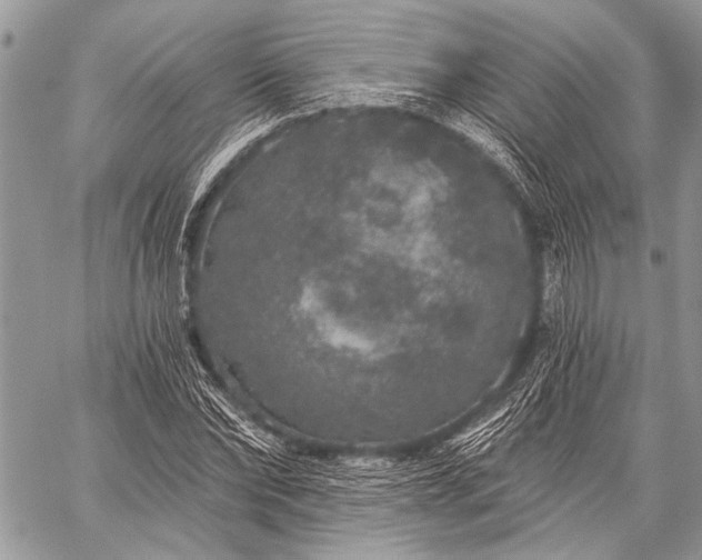 X0000059240878200510171428