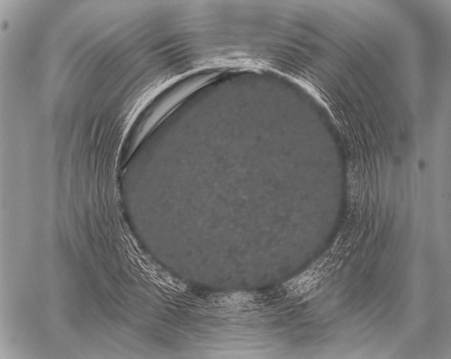 X0000059240879200510171428