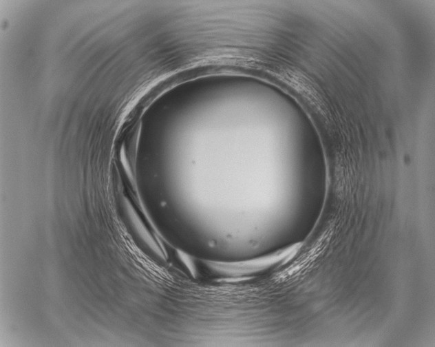 X0000059240880200510171428