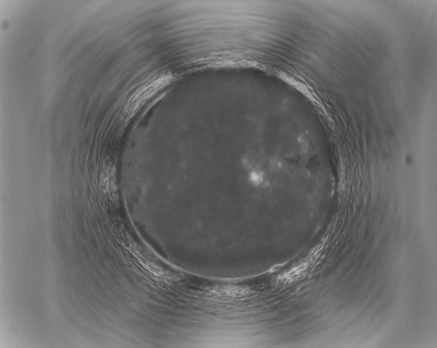 X0000059240881200510171428