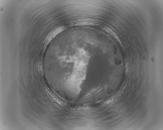 X0000059240882200510171428