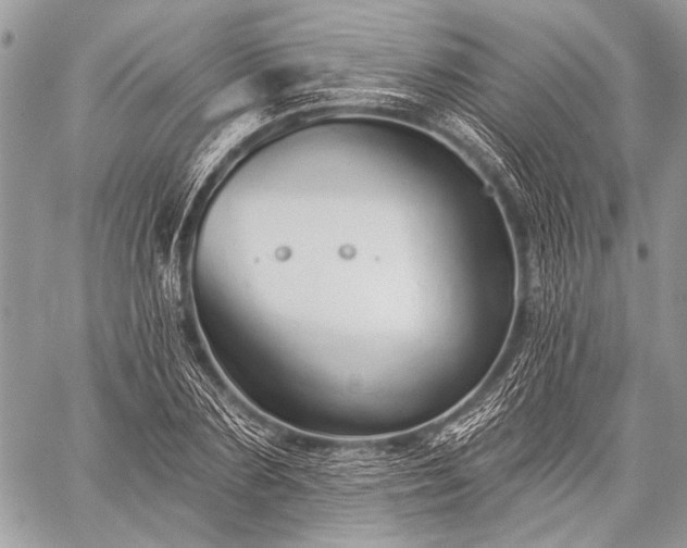 X0000059240883200510171428