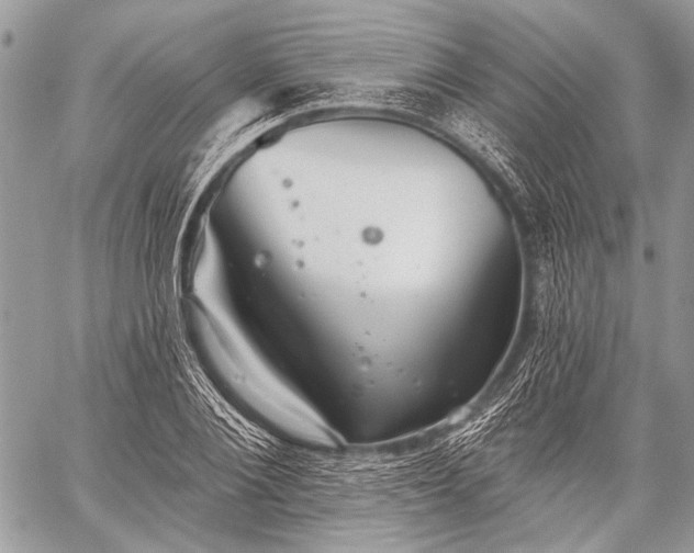 X0000059240884200510171428