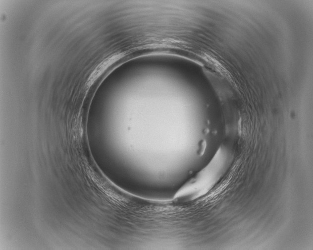 X0000059240885200510171428