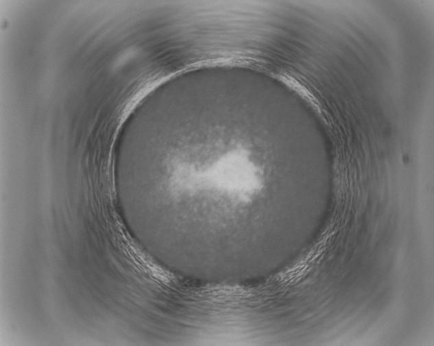 X0000059240886200510171428