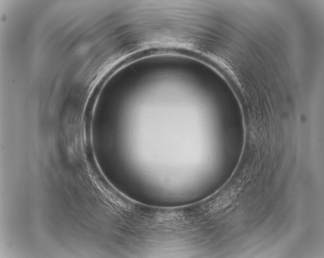 X0000059240887200510171428