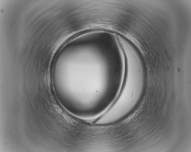 X0000059240888200510171428