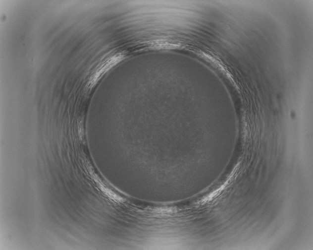 X0000059240889200510171428