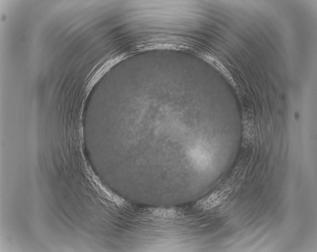 X0000059240890200510171428