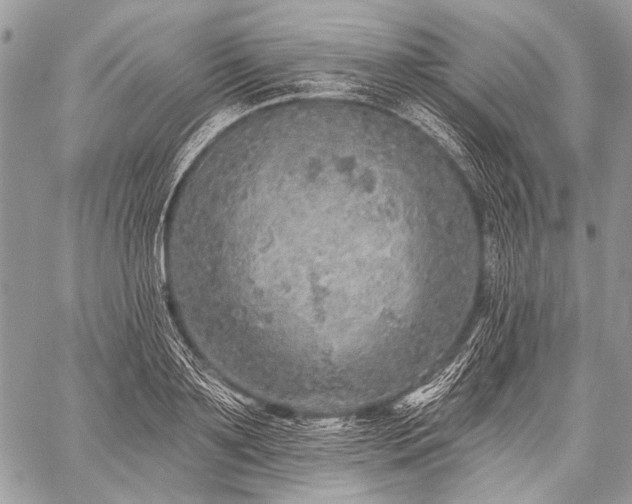 X0000059240891200510171428