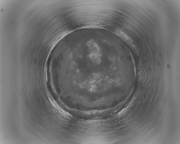 X0000059240892200510171428