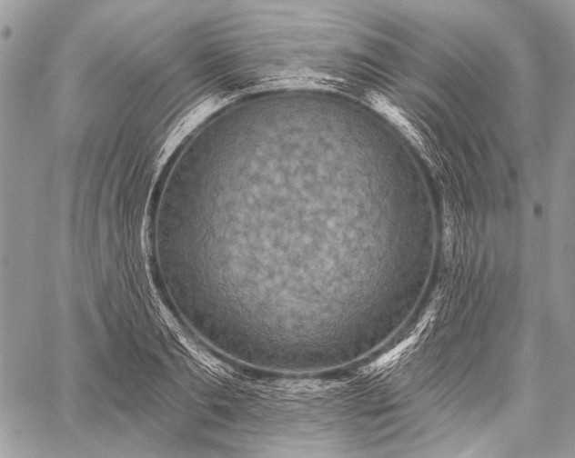 X0000059240893200510171428