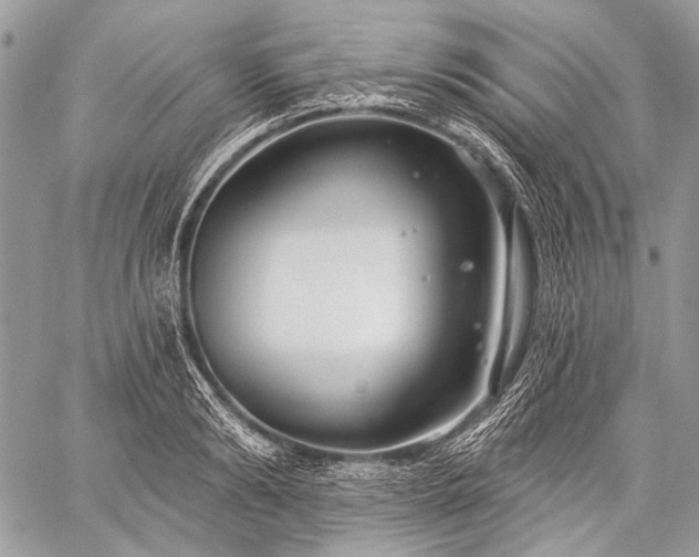 X0000059240894200510171428