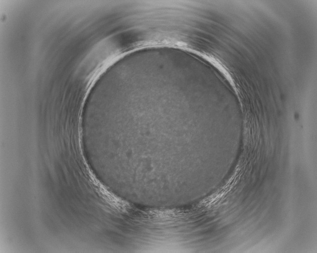 X0000059240895200510171428