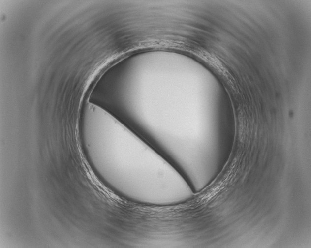 X0000059240896200510171428