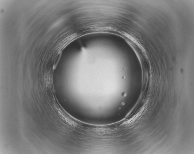 X0000059240897200510171428