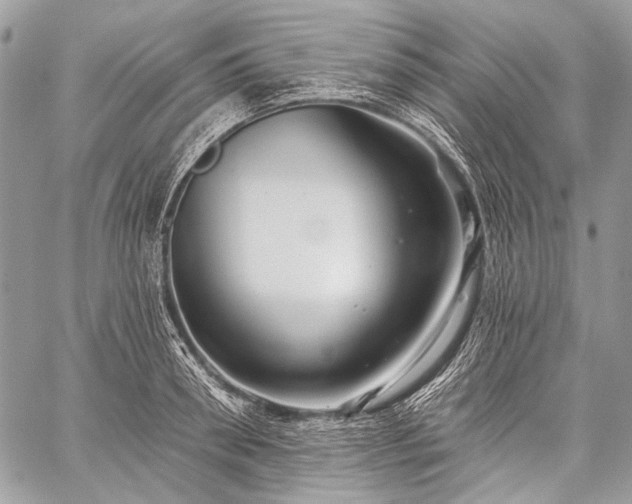 X0000059240898200510171428