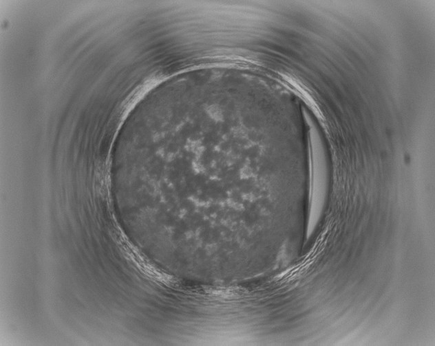 X0000059240899200510171428