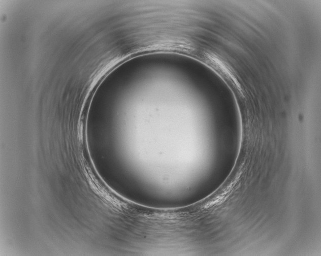 X0000059240900200510171428