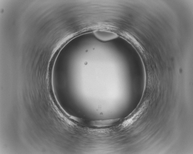 X0000059240902200510171428