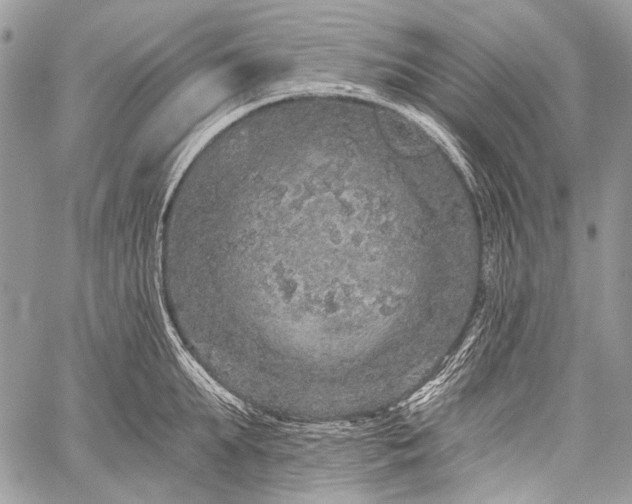 X0000059240903200510171428