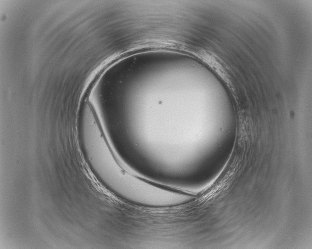 X0000059240904200510171428