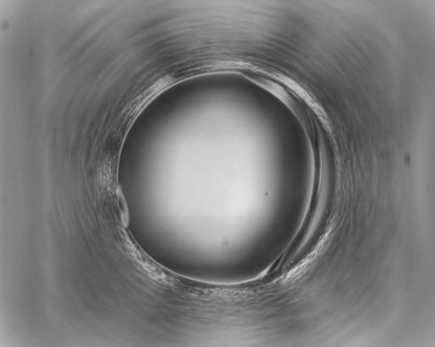 X0000059240905200510171428