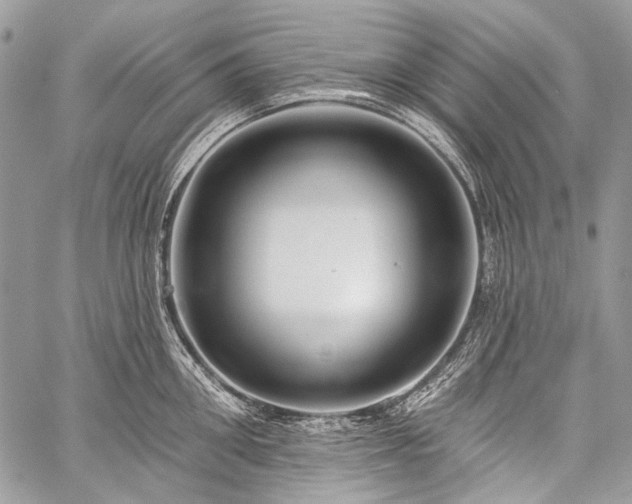 X0000059240906200510171428