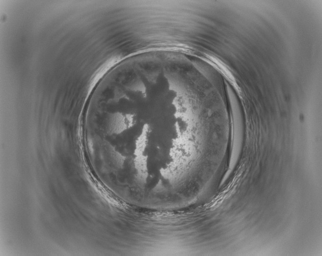 X0000059240907200510171428