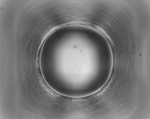 X0000059240908200510171428