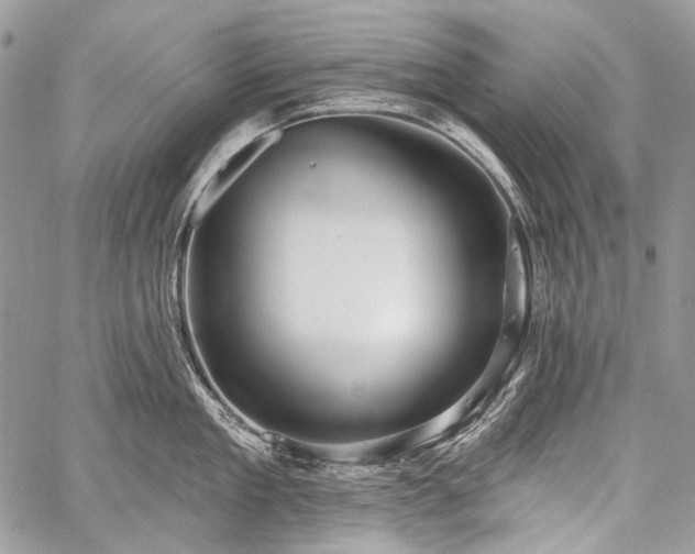 X0000059240909200510171428