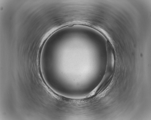 X0000059240910200510171428